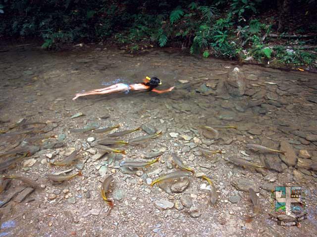 Rio do Peixe