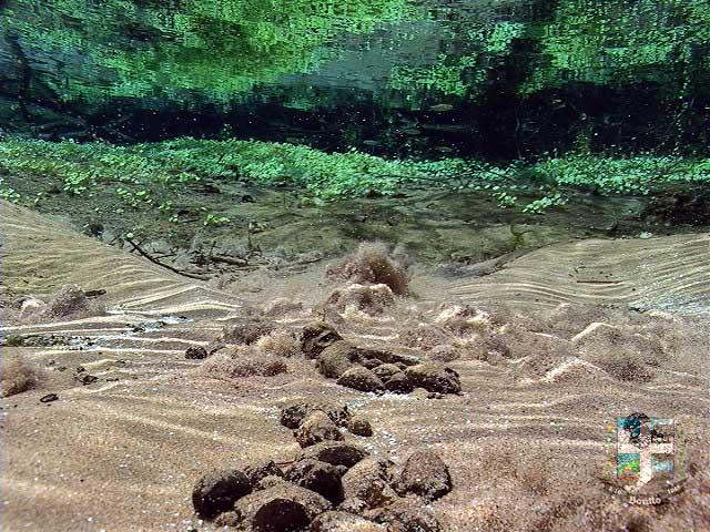 Rio Sucuri