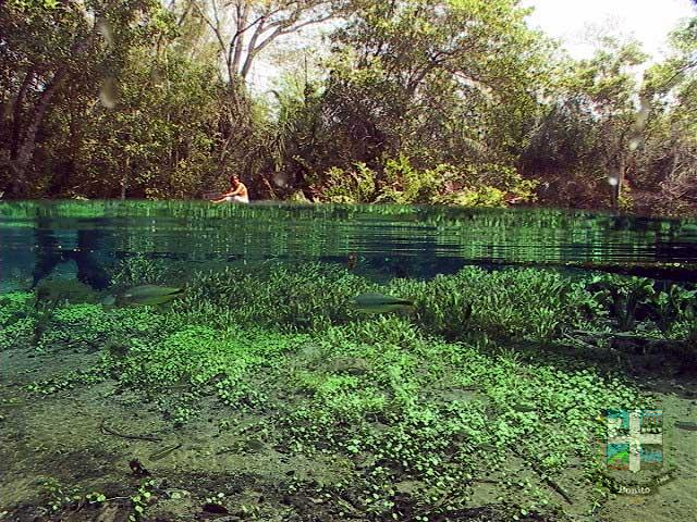 Rio Sucuri