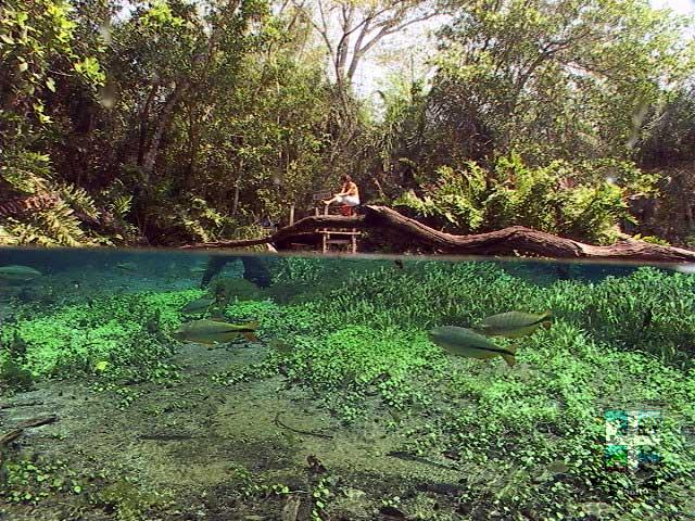 Rio Sucuri