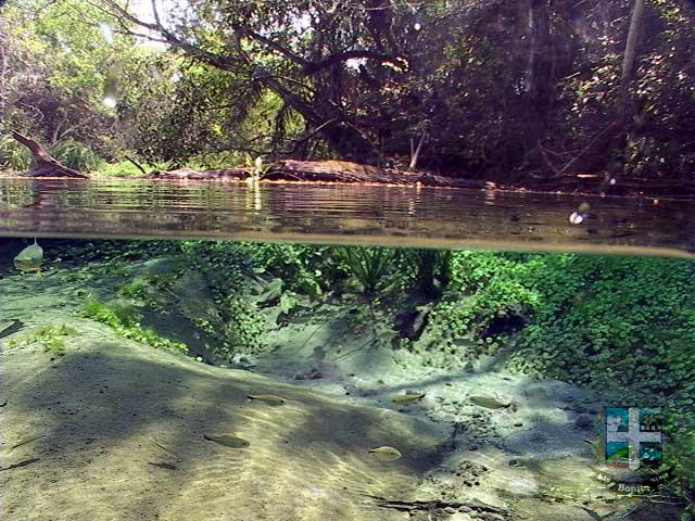 Rio Sucuri