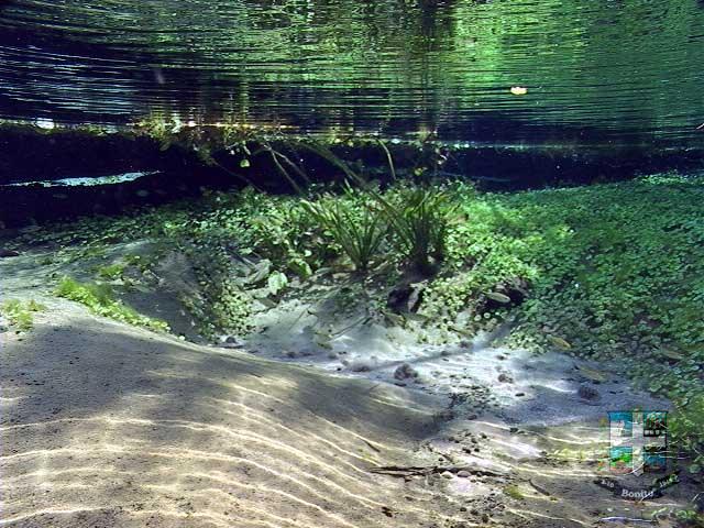 Rio Sucuri