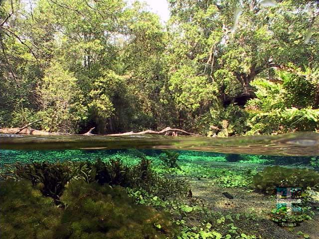 Rio Sucuri