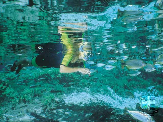 Reserva Ecológica Baia Bonita