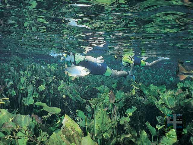 Reserva Ecológica Baia Bonita