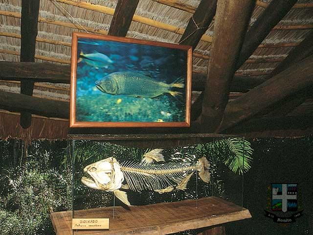 Reserva Ecológica Baia Bonita