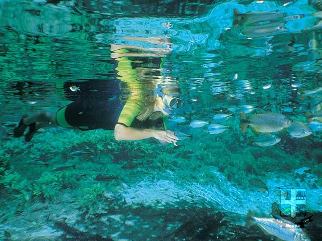 Reserva Ecológica Baia Bonita