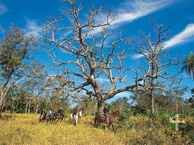 Balneário Tarumã
