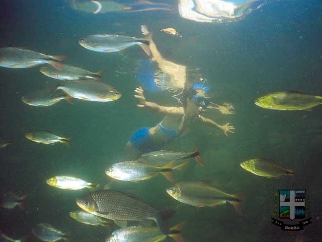 Boca da Onça