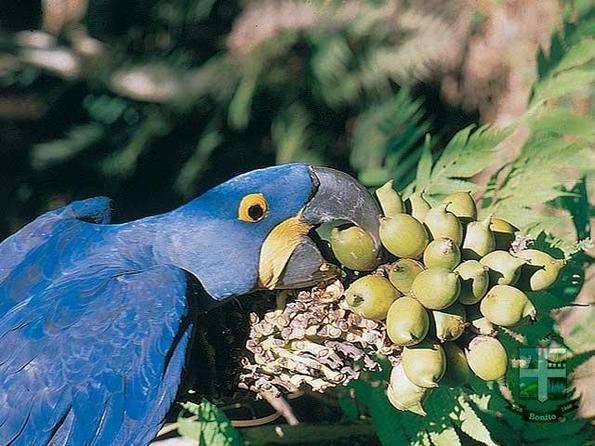 Descubra o Rio do Peixe
