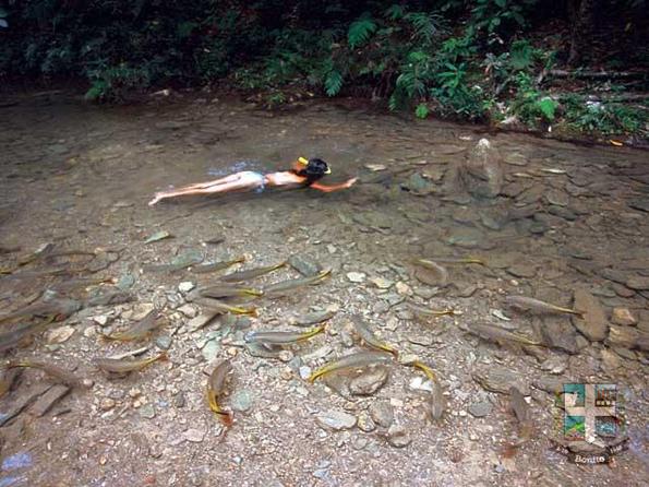 Descubra o Rio do Peixe