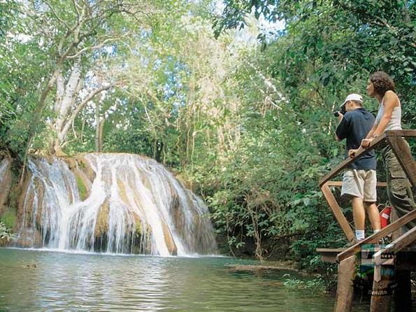 Descubra a Estância Mimosa