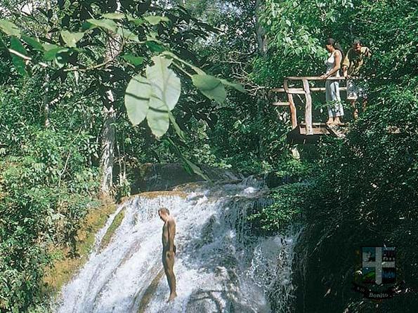 Descubra a Estância Mimosa