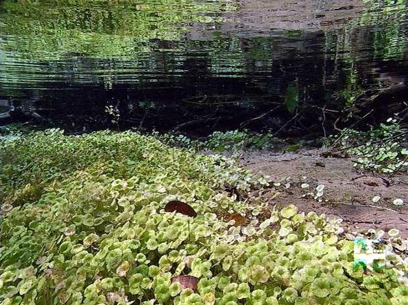 Descubra o Rio Sucuri
