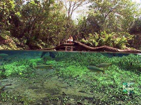 Descubra o Rio Sucuri