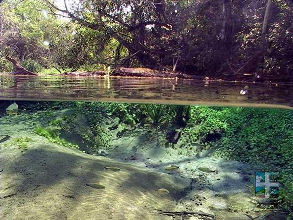 Descubra o Rio Sucuri
