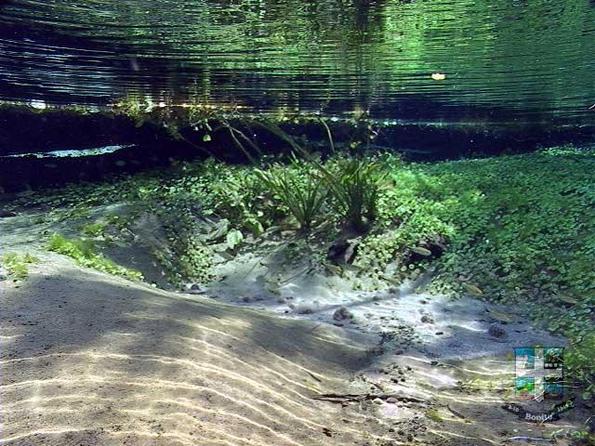 Descubra o Rio Sucuri