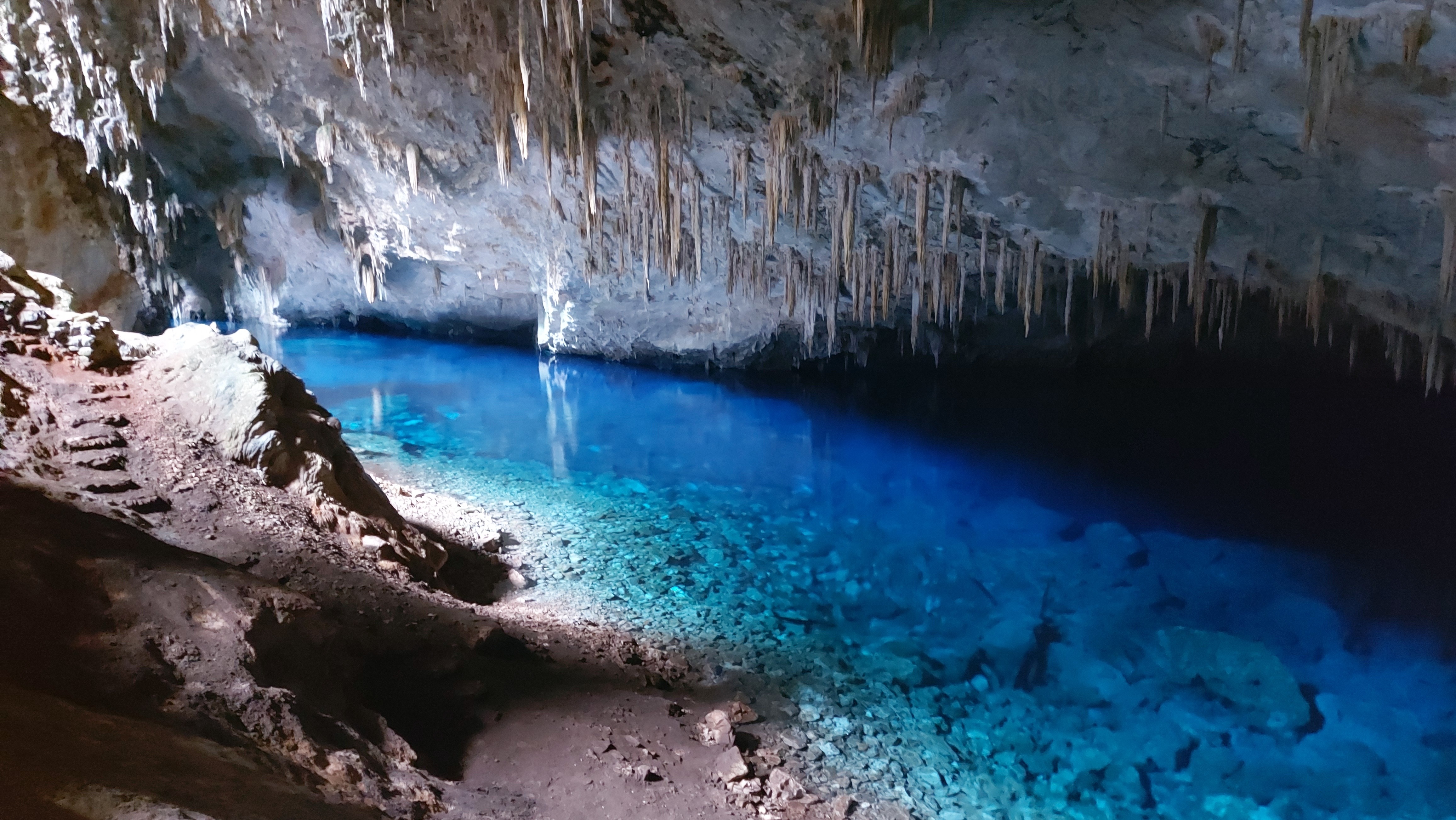 Gruta do Lago Azul reabre para o público seguindo todos os protocolos de biossegurança. Gruta do Lago Azul reabre para o público seguindo todos os protocolos de biossegurança.