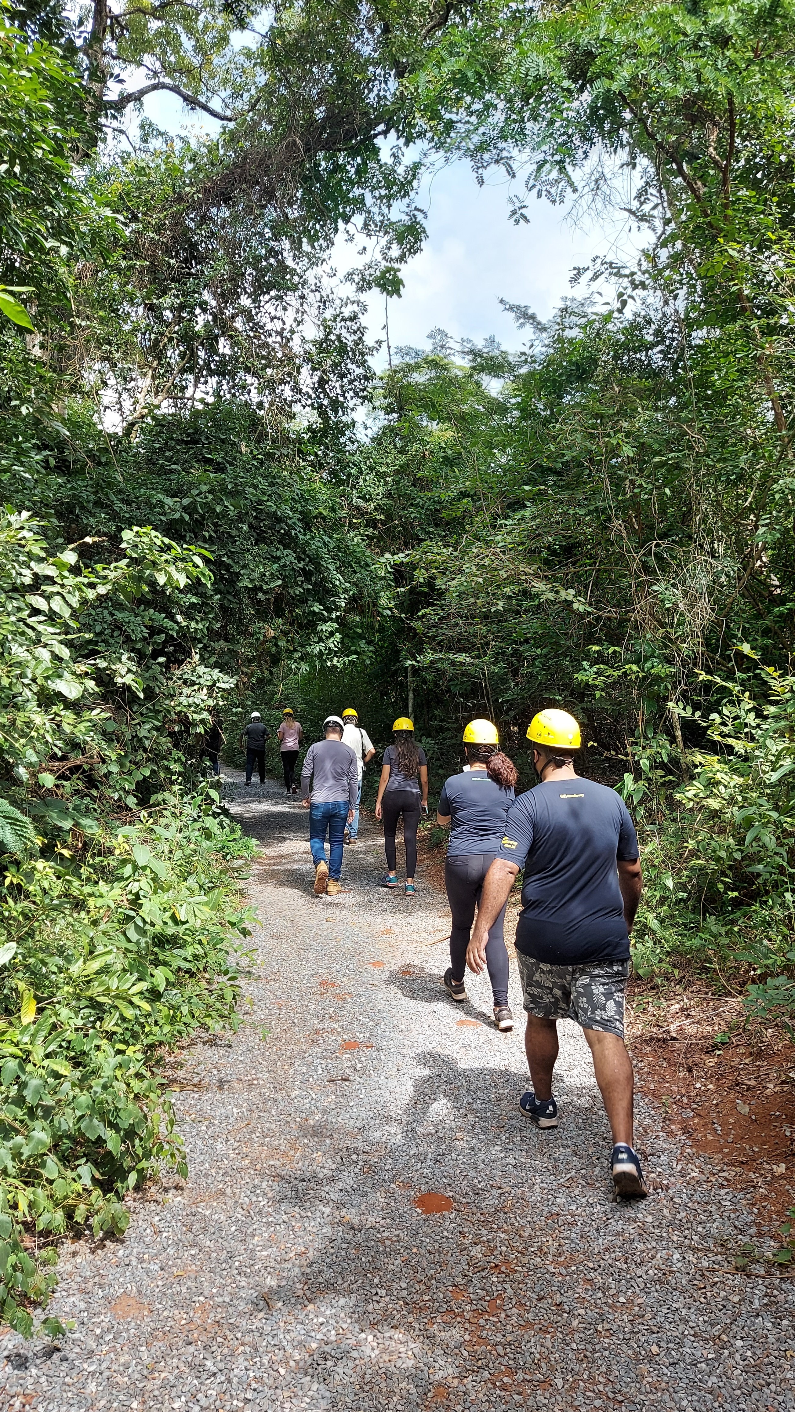 Gruta do Lago Azul reabre para o público seguindo todos os protocolos de biossegurança. Gruta do Lago Azul reabre para o público seguindo todos os protocolos de biossegurança.