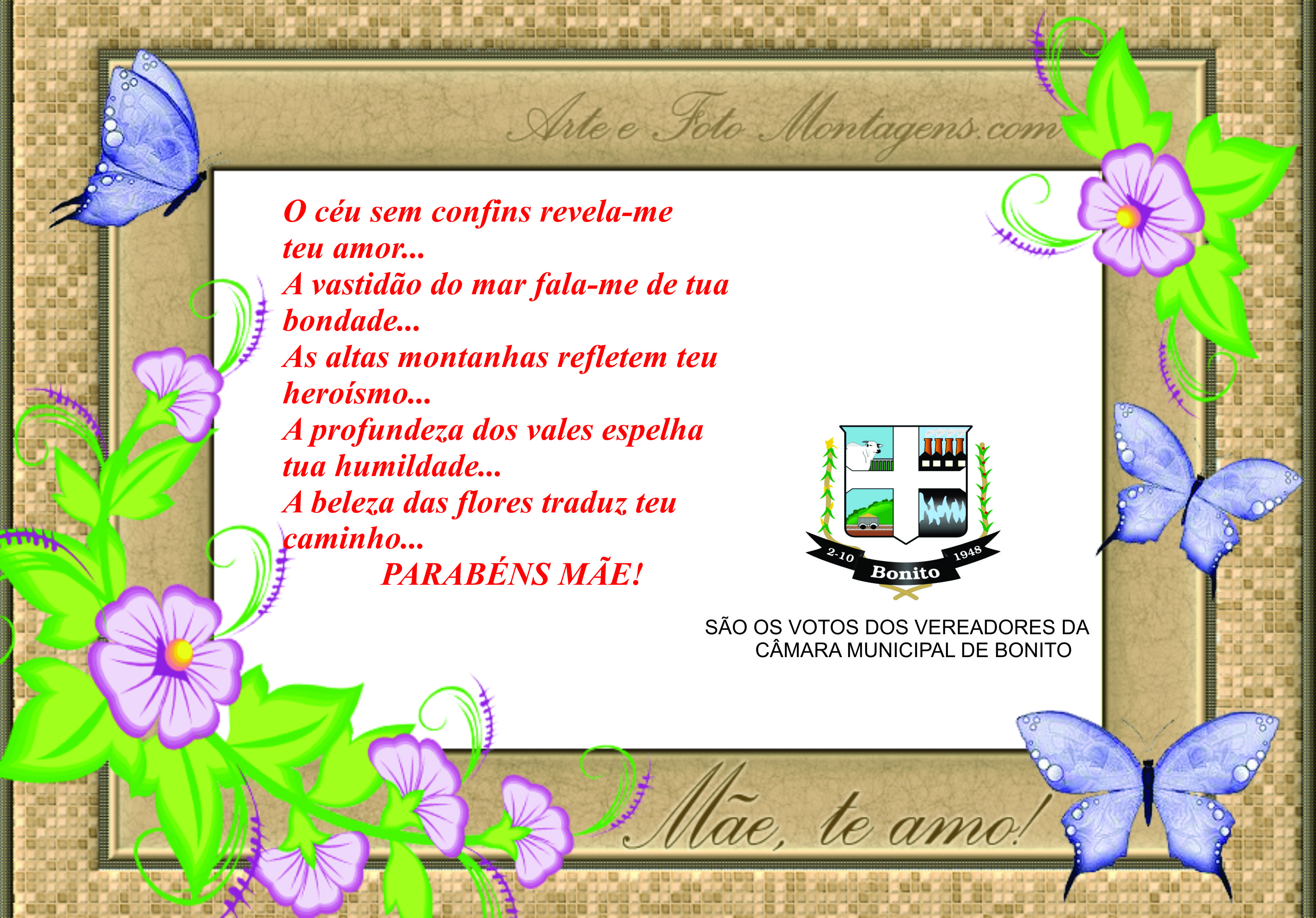 Parabéns! Que Deus abenções todas as Mães! São os votos dos Vereadores da Câmara Municipal de Bonito.